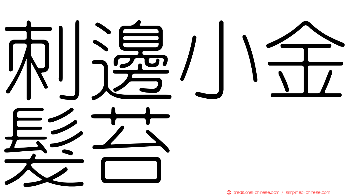 刺邊小金髮苔