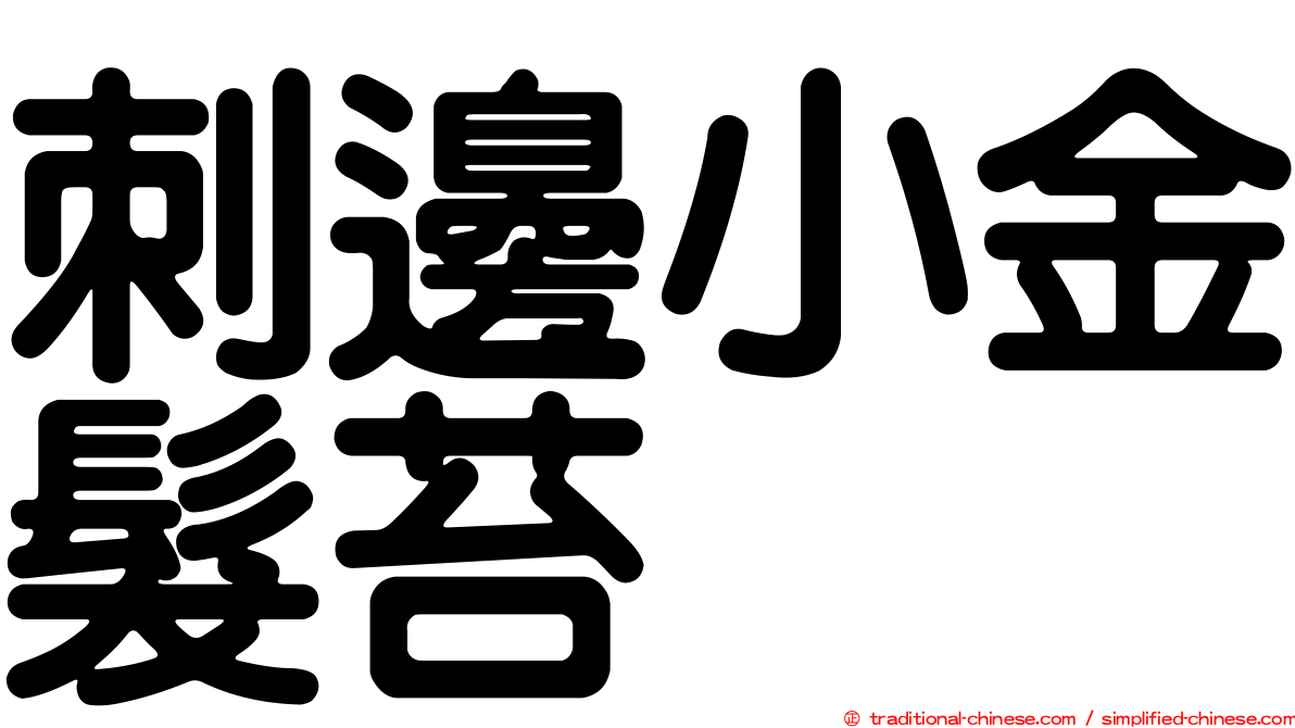 刺邊小金髮苔