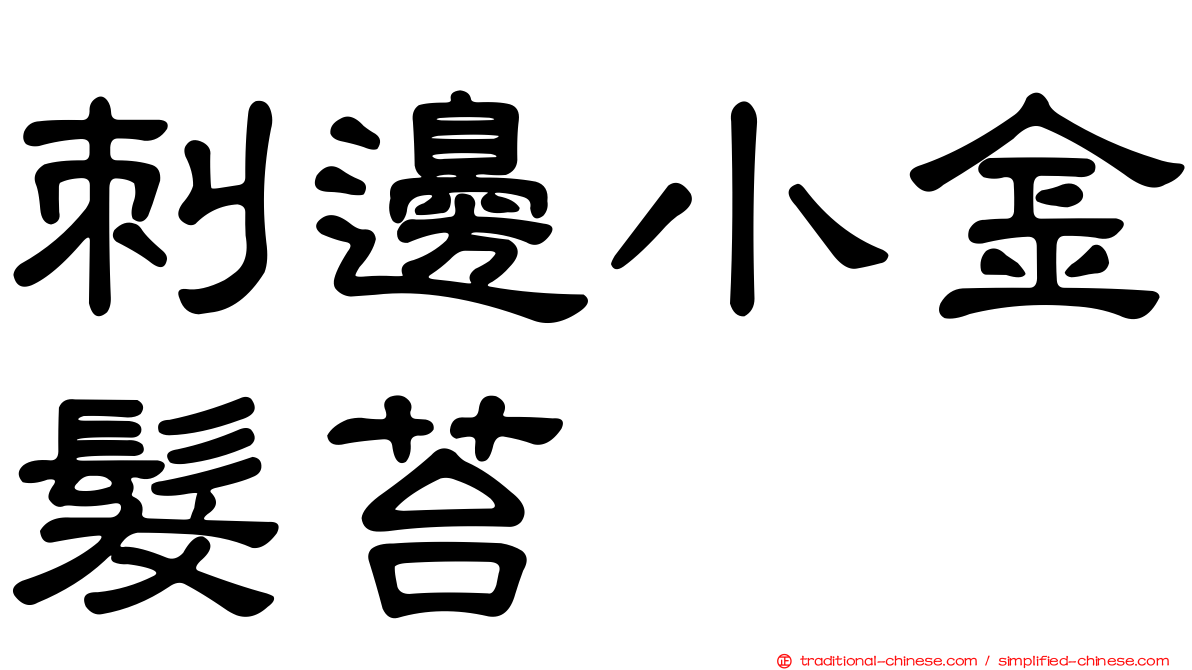刺邊小金髮苔