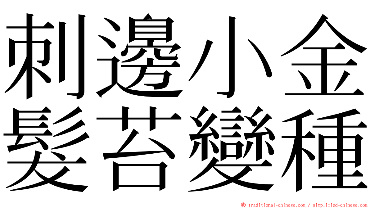刺邊小金髮苔變種 ming font
