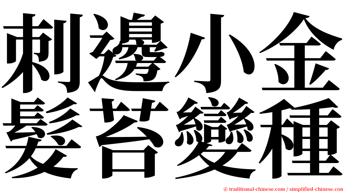 刺邊小金髮苔變種 serif font