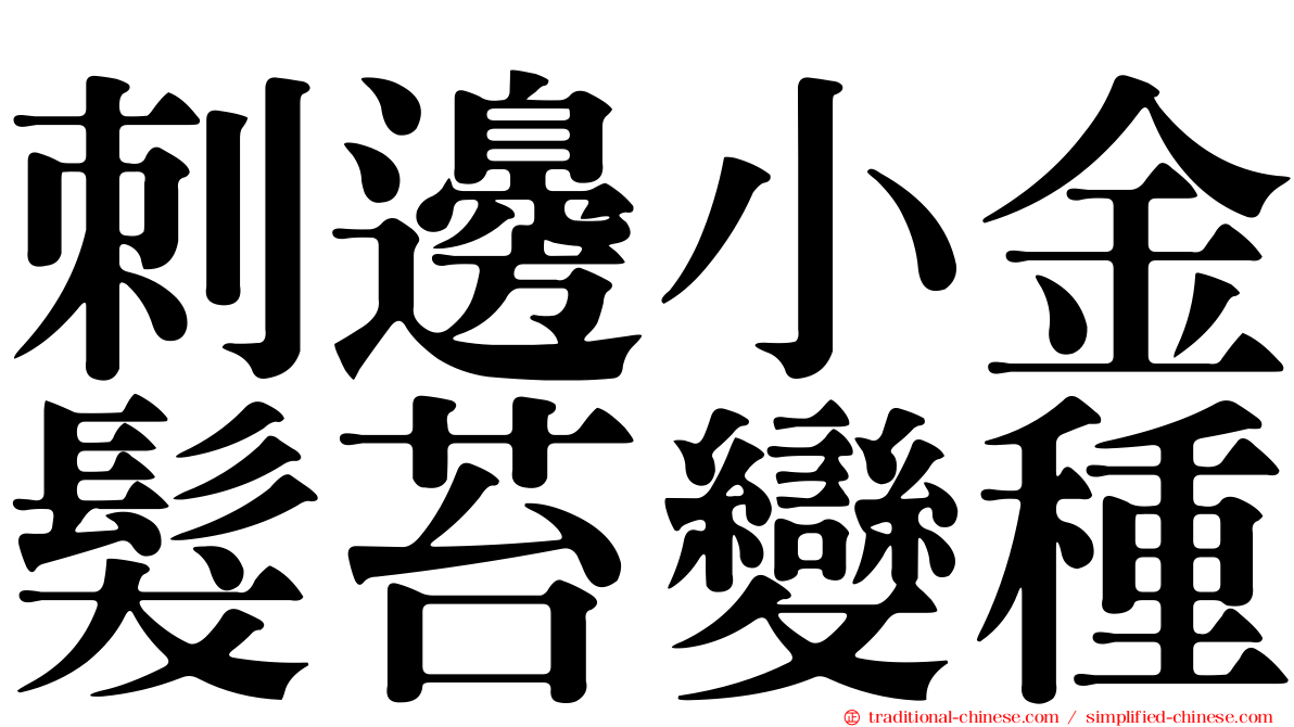 刺邊小金髮苔變種