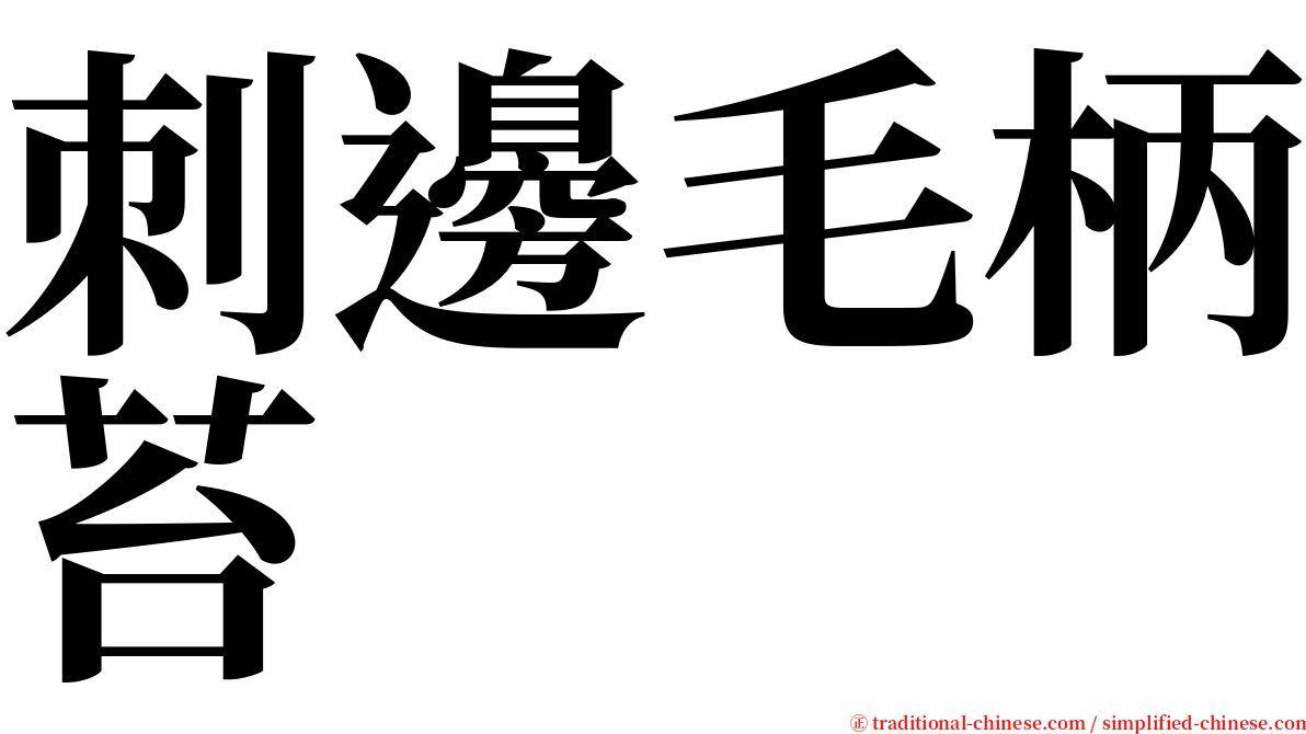 刺邊毛柄苔 serif font