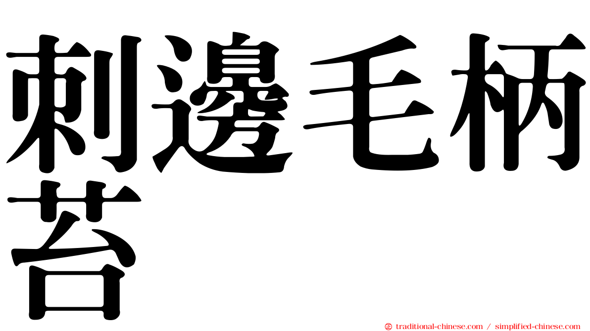 刺邊毛柄苔