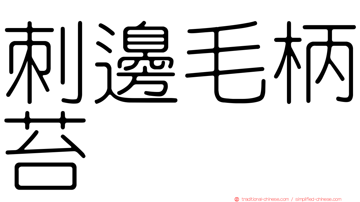 刺邊毛柄苔