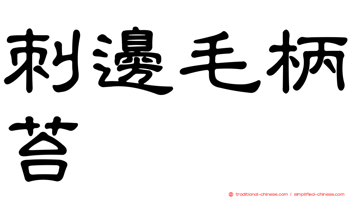 刺邊毛柄苔