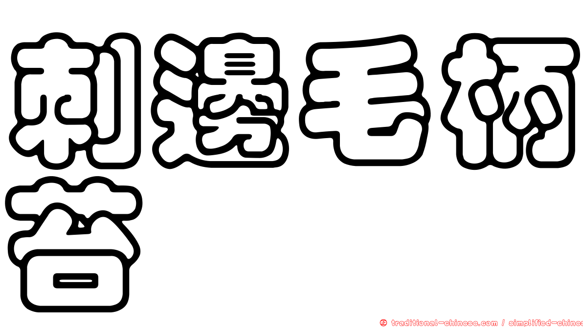 刺邊毛柄苔