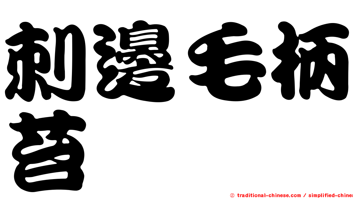 刺邊毛柄苔