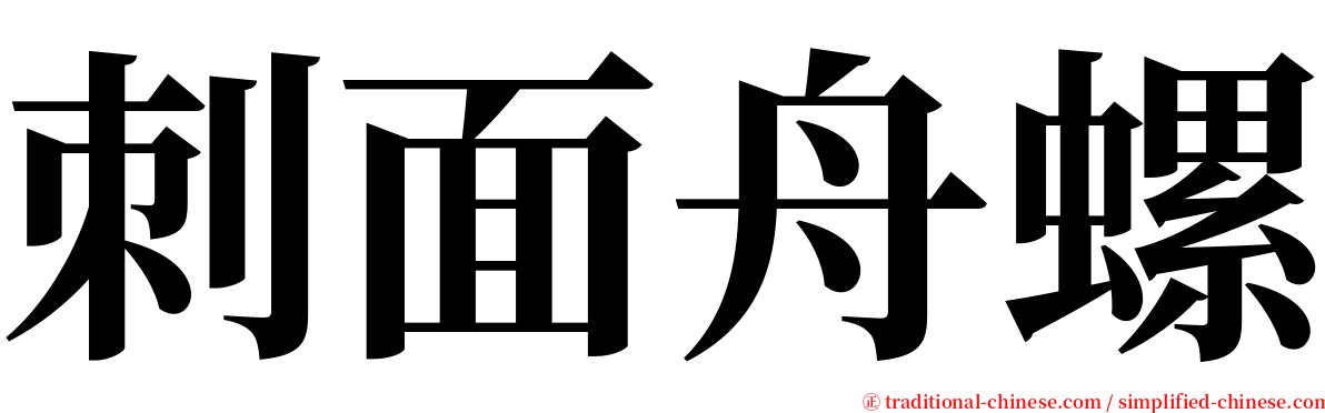 刺面舟螺 serif font