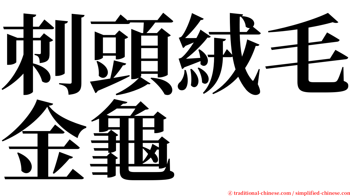 刺頭絨毛金龜 serif font