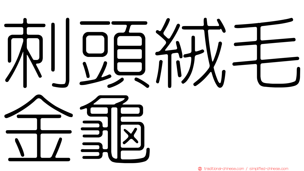 刺頭絨毛金龜