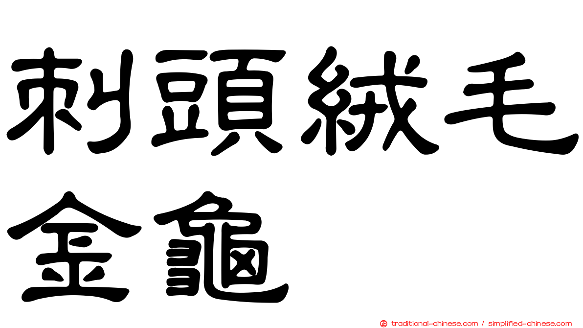 刺頭絨毛金龜