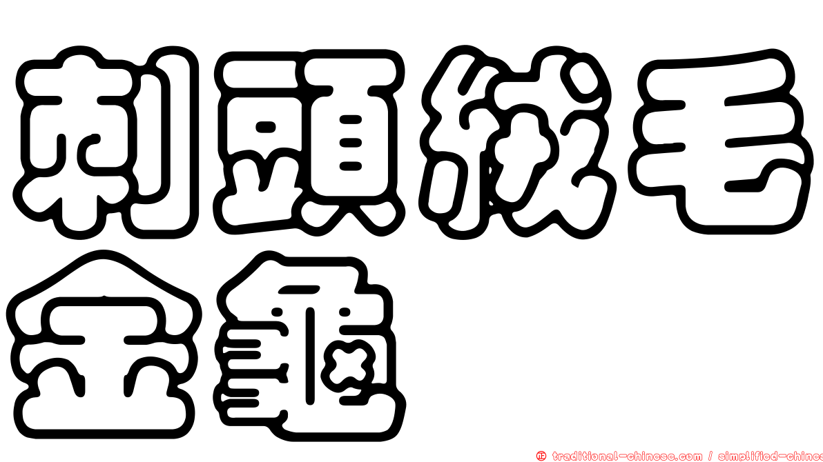 刺頭絨毛金龜