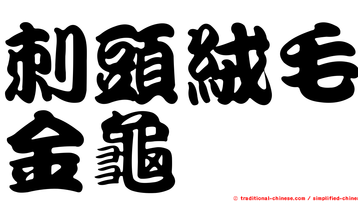 刺頭絨毛金龜