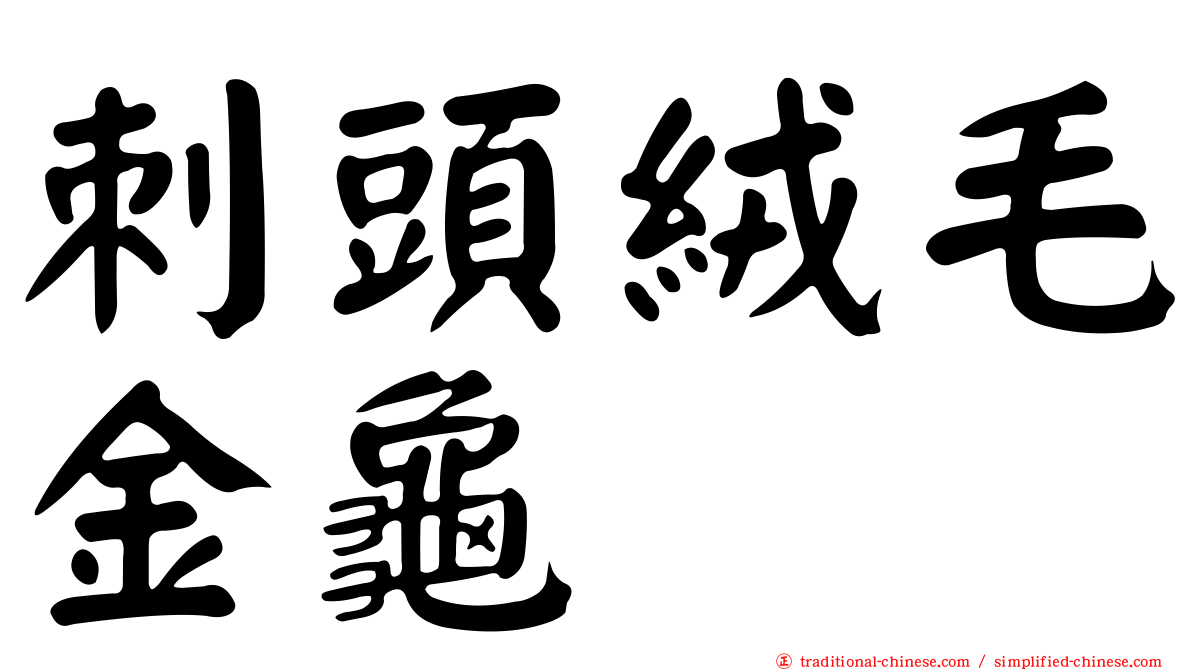 刺頭絨毛金龜