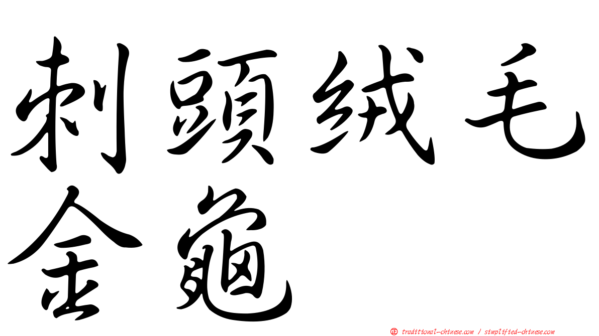 刺頭絨毛金龜