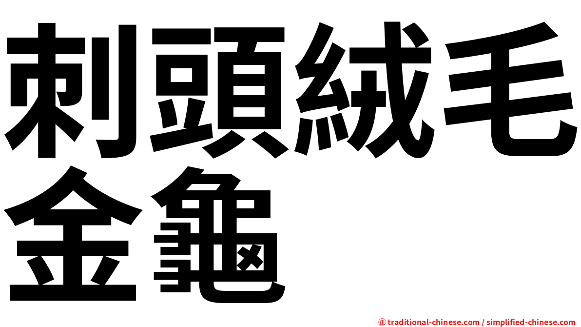 刺頭絨毛金龜