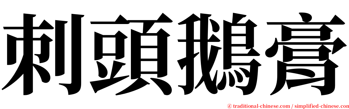 刺頭鵝膏 serif font