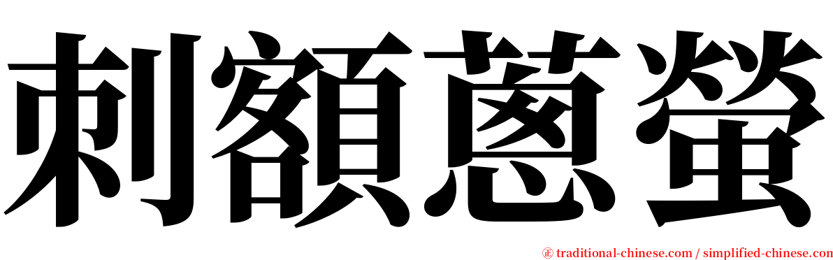 刺額蔥螢 serif font