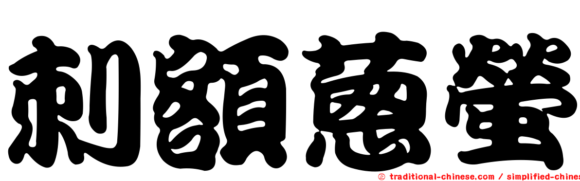 刺額蔥螢