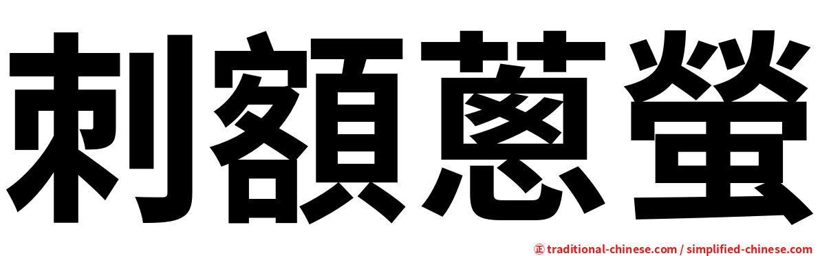 刺額蔥螢