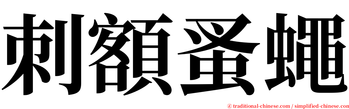 刺額蚤蠅 serif font