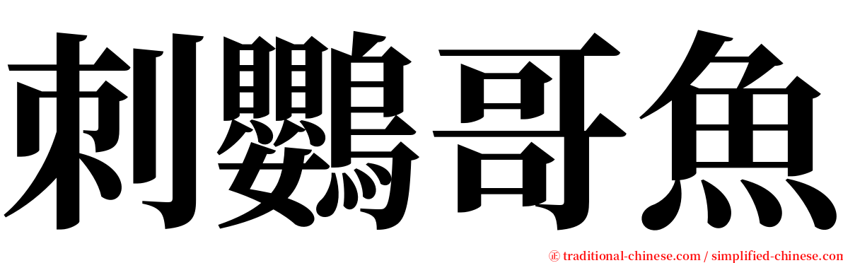 刺鸚哥魚 serif font