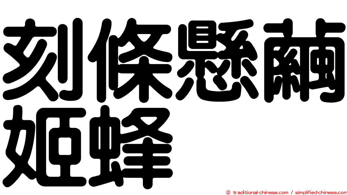 刻條懸繭姬蜂