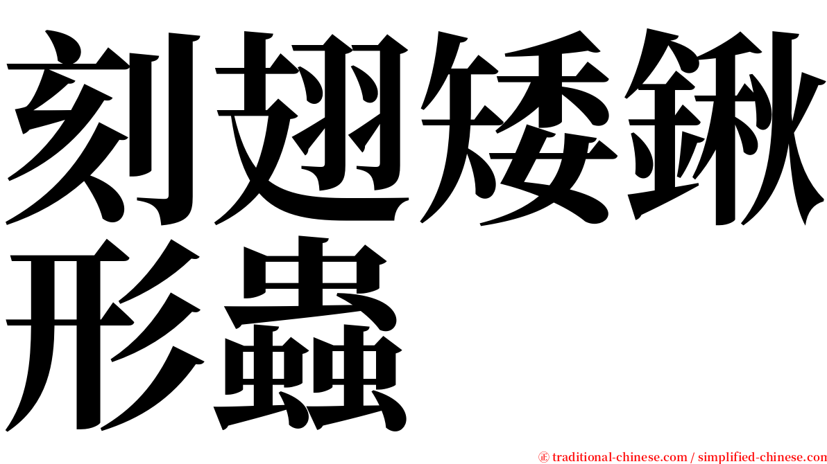 刻翅矮鍬形蟲 serif font