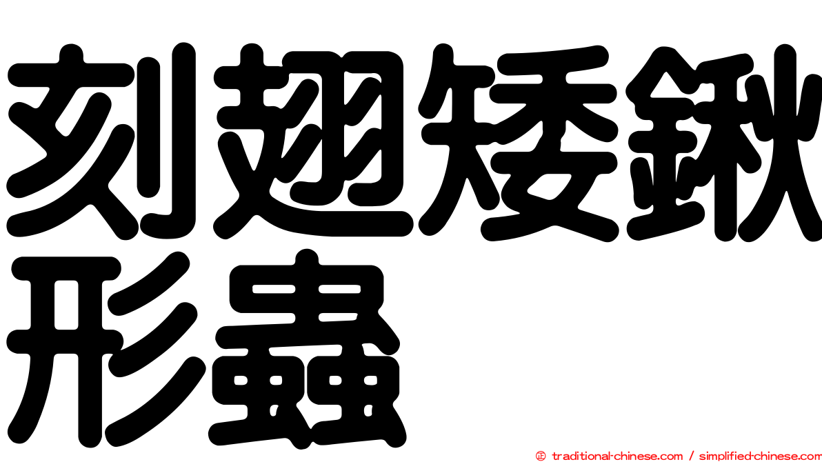 刻翅矮鍬形蟲