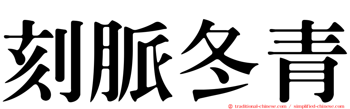 刻脈冬青