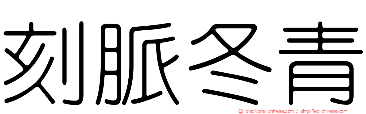 刻脈冬青