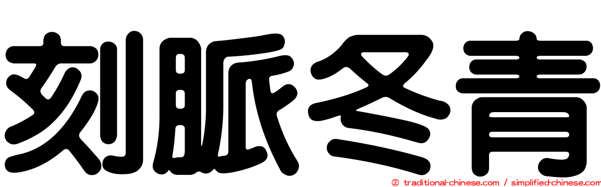 刻脈冬青