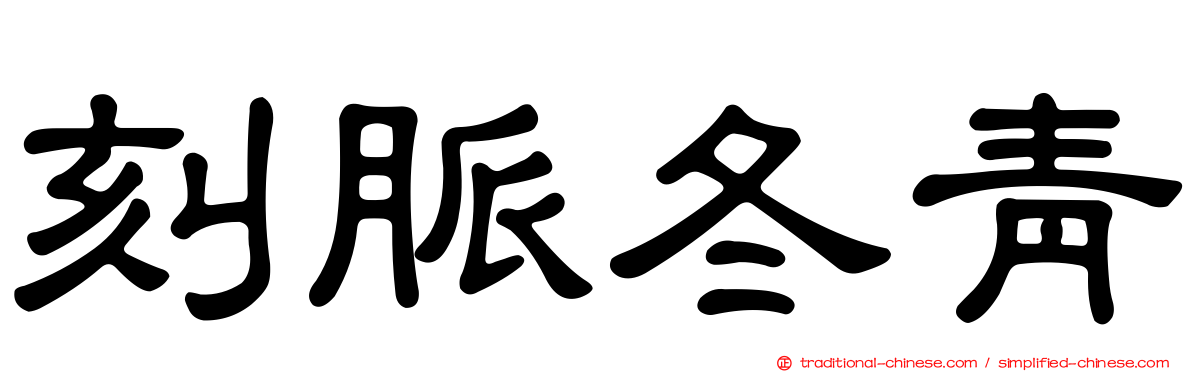 刻脈冬青