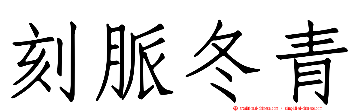 刻脈冬青