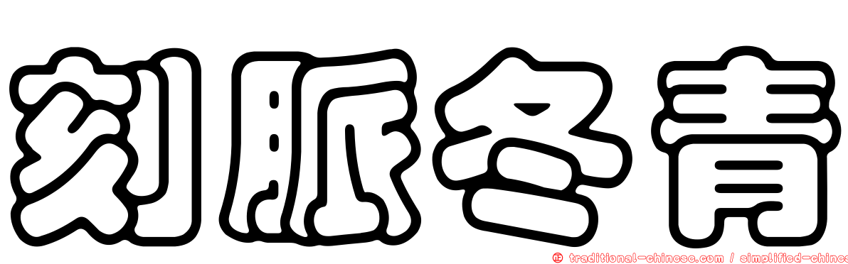 刻脈冬青