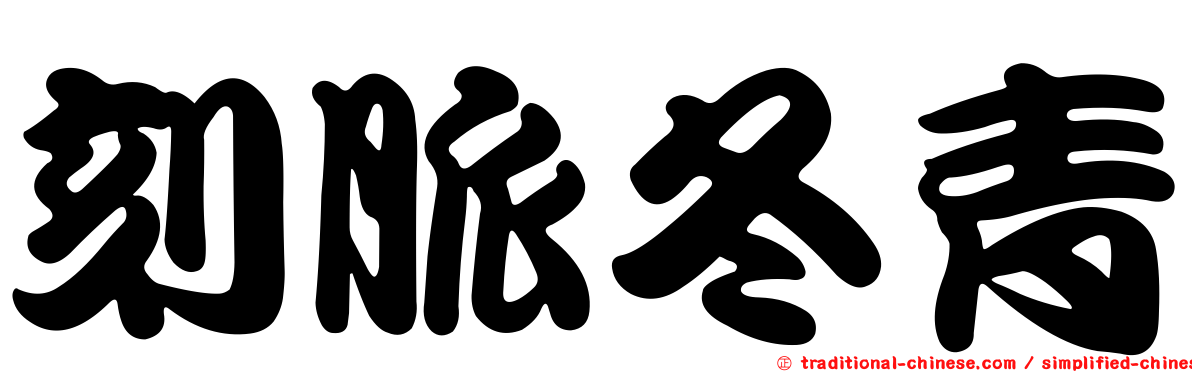 刻脈冬青