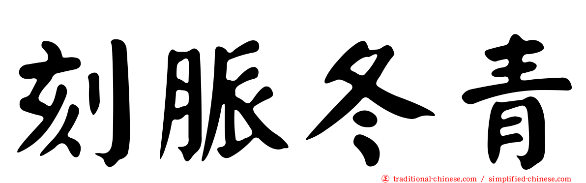 刻脈冬青