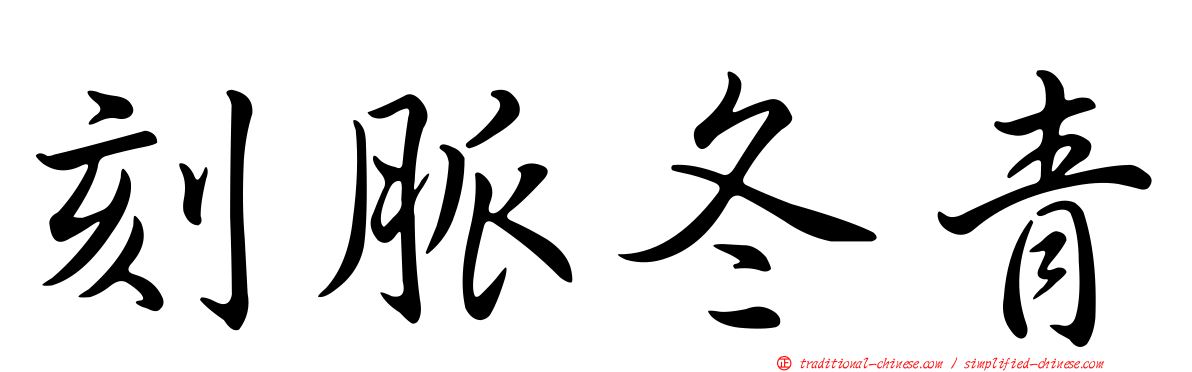 刻脈冬青