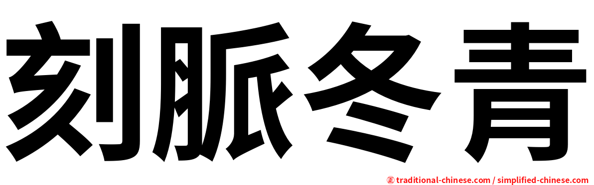 刻脈冬青