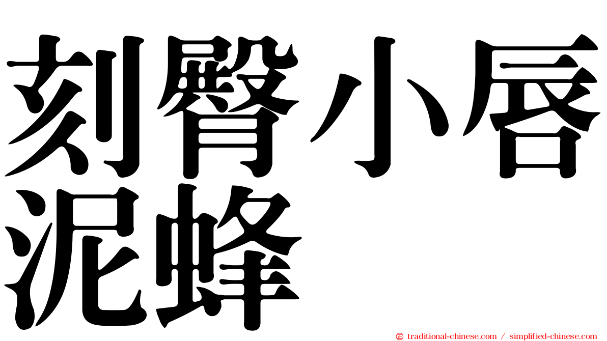 刻臀小唇泥蜂