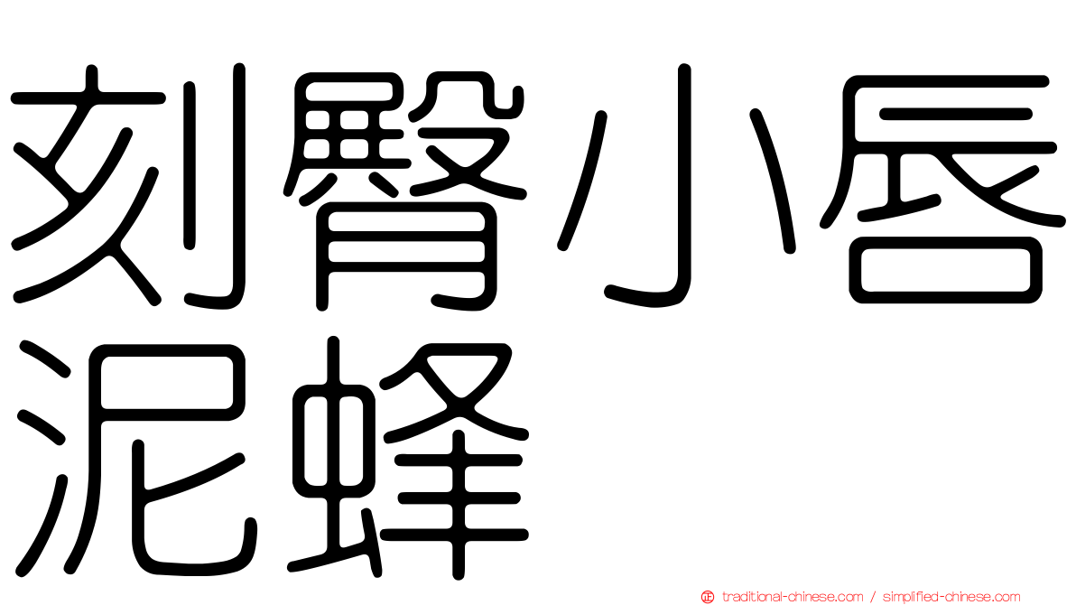 刻臀小唇泥蜂