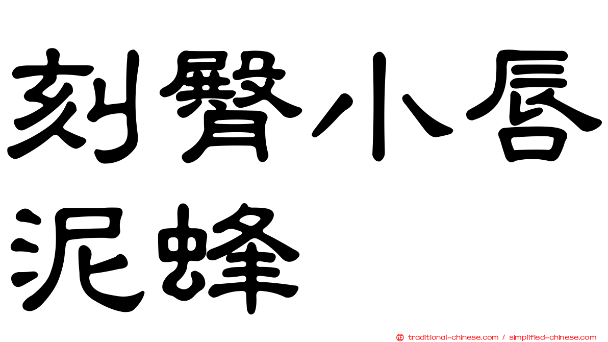 刻臀小唇泥蜂