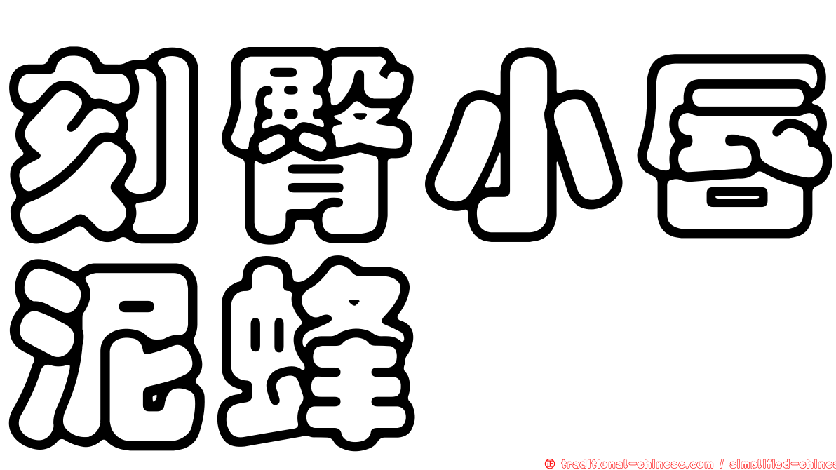 刻臀小唇泥蜂