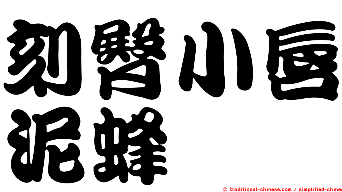 刻臀小唇泥蜂
