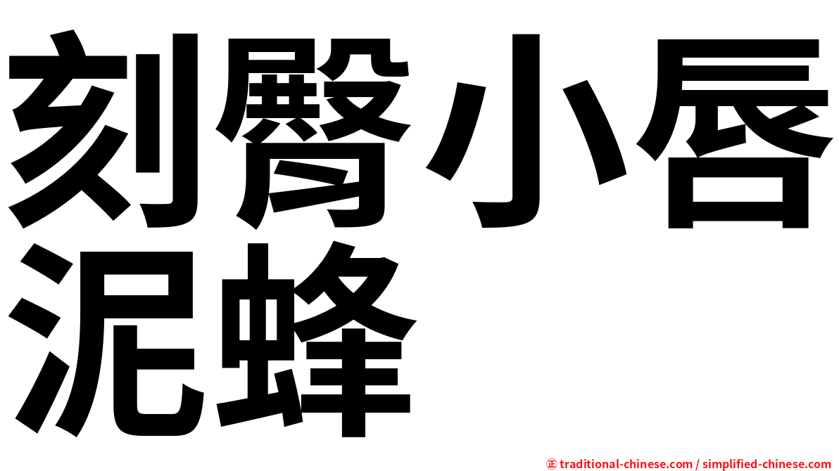 刻臀小唇泥蜂