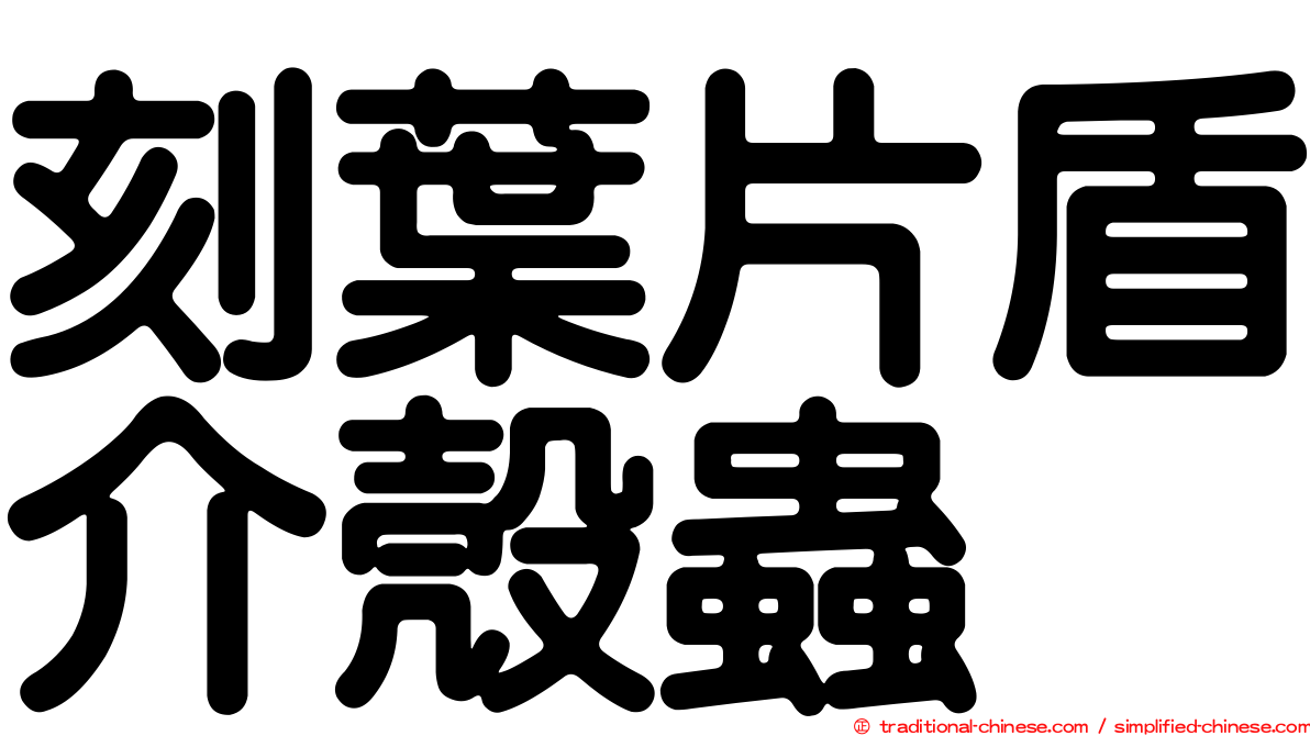 刻葉片盾介殼蟲