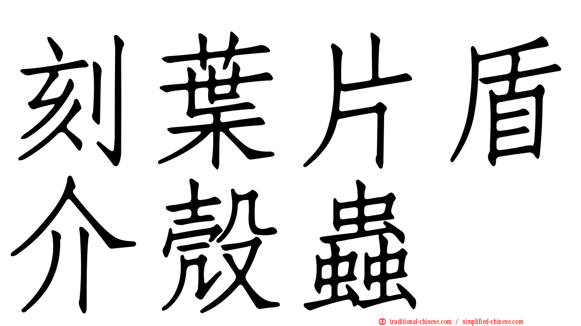 刻葉片盾介殼蟲