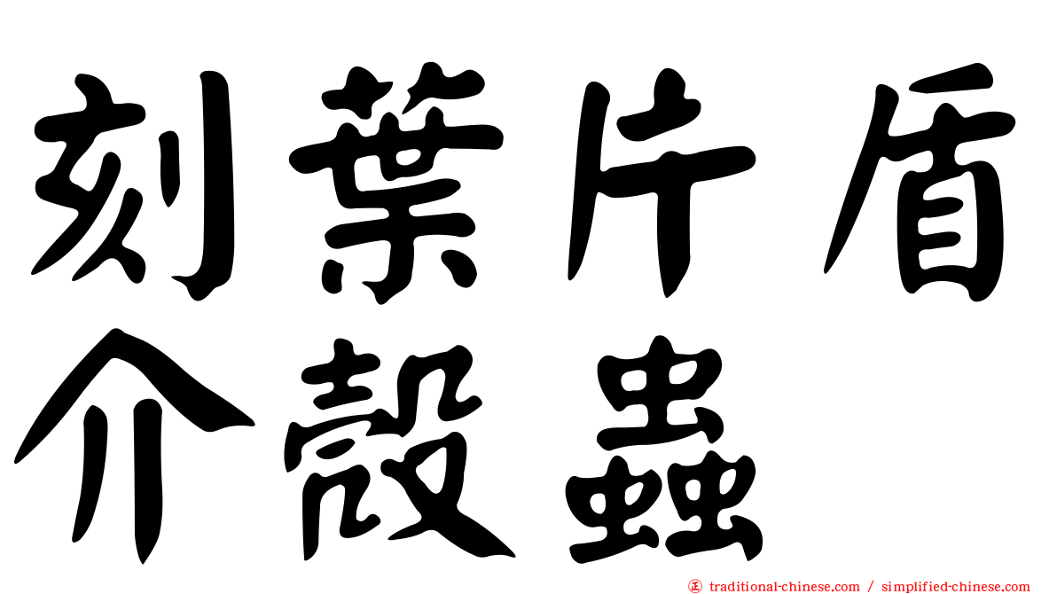 刻葉片盾介殼蟲