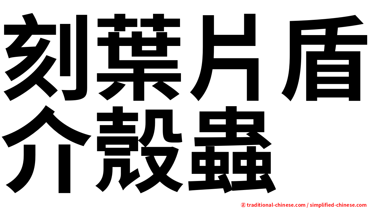 刻葉片盾介殼蟲